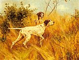 Thomas Blinks Two Pointers In Landscape